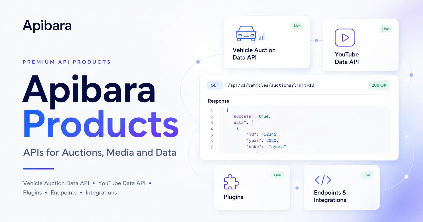 Apibara.tech 截图 1