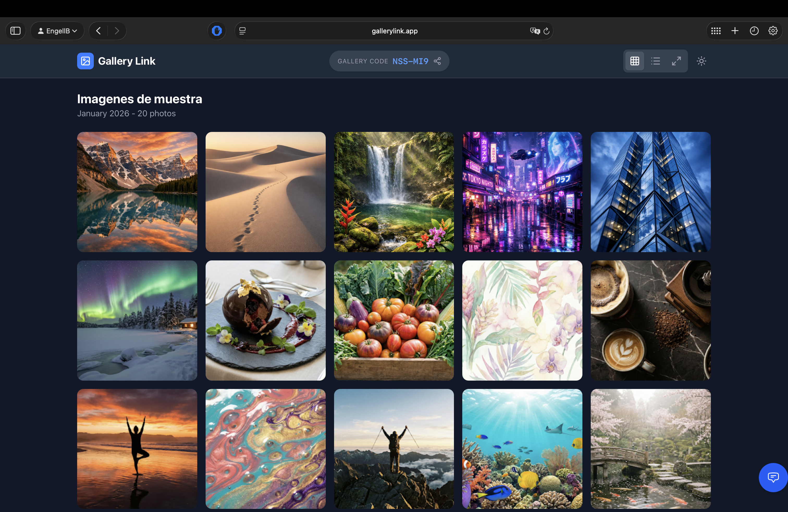 Gallery Link gallery image