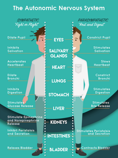 Magnesphere gallery image