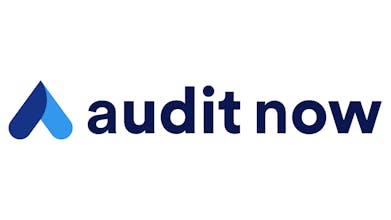 Audit Now gallery image