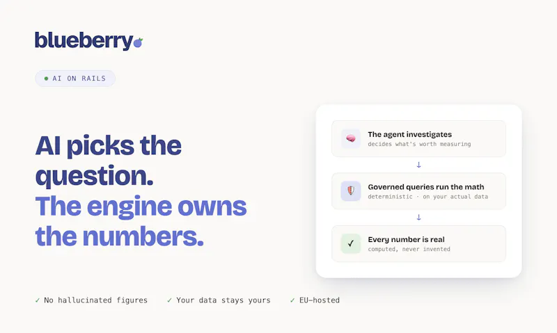 blueberry. screenshot 6