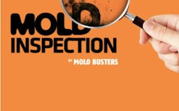 Mold Inspection App media 3