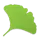 Gingko Writer