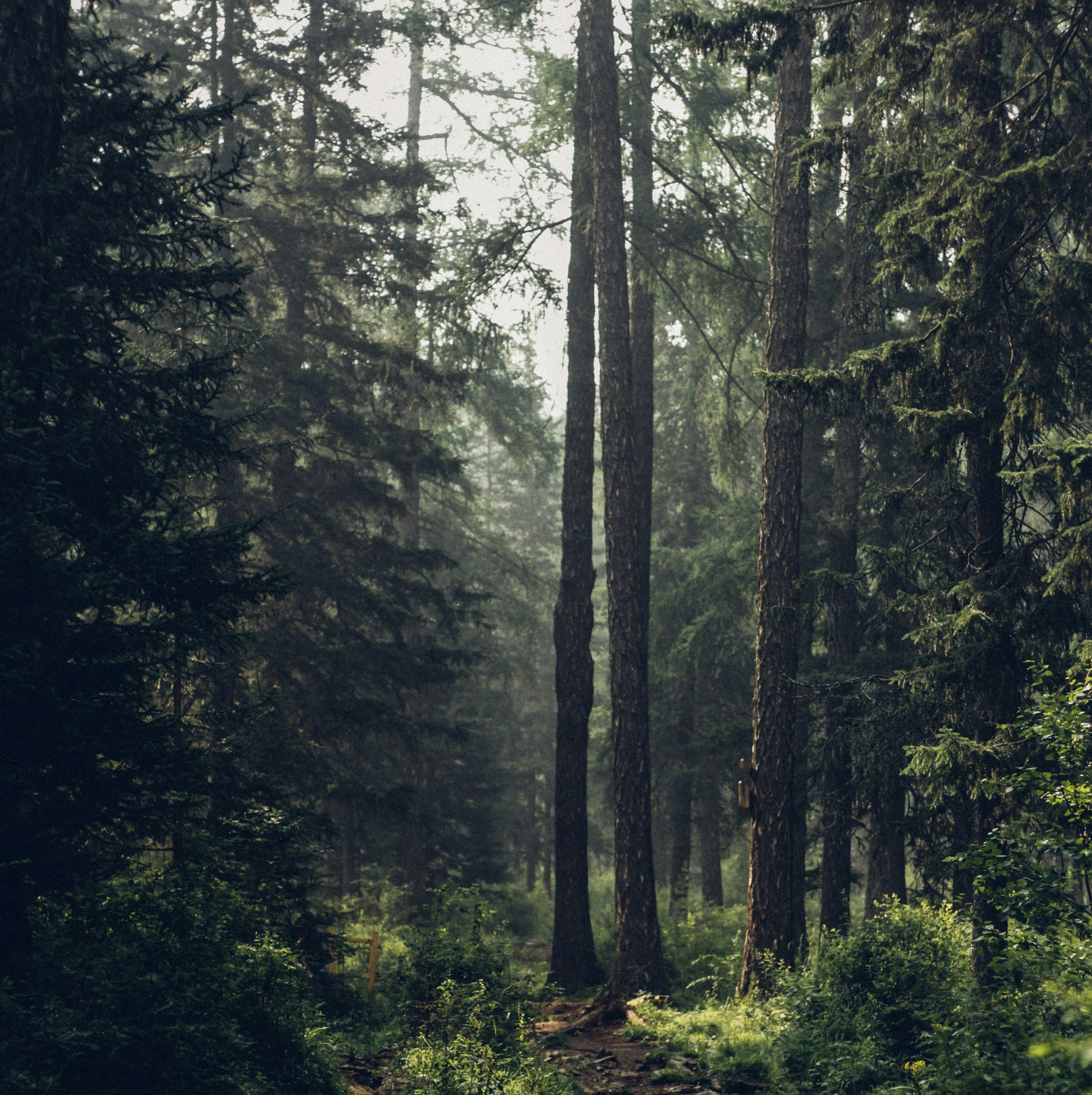 Tune Out gallery image