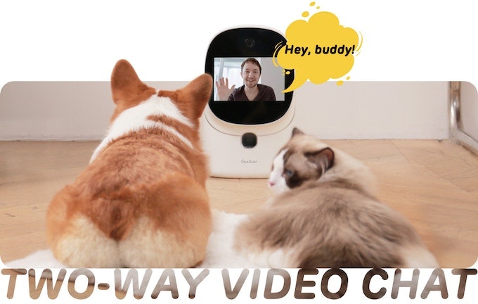Media Guluu - Xử lý máy ảnh FaceTime thú cưng đi kèm với 24/7 6