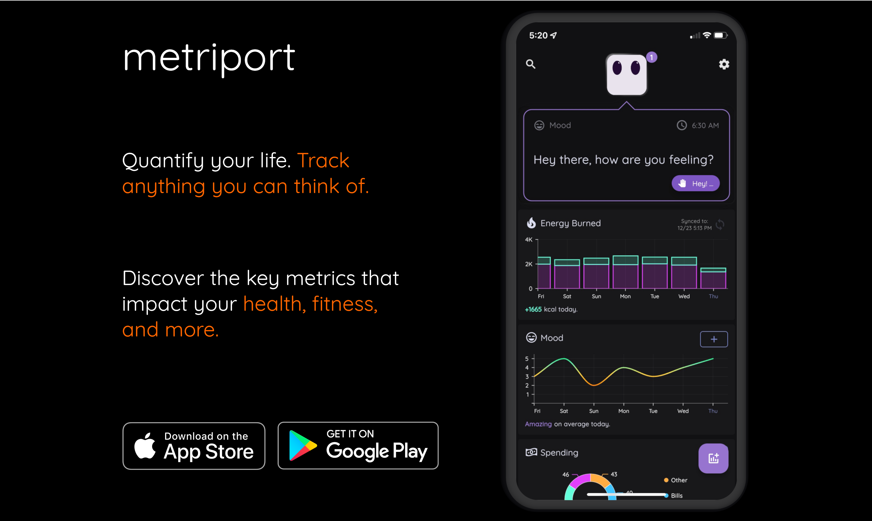 Metriport gallery image