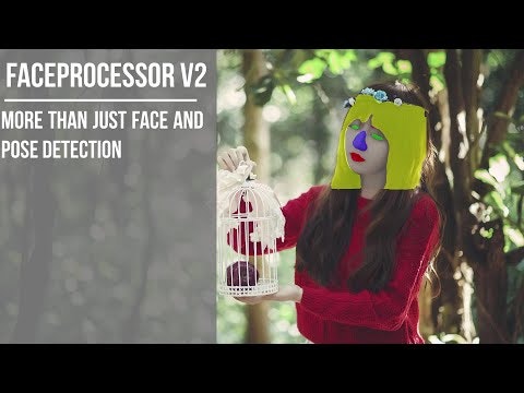 Faceprocessor V2 gallery image
