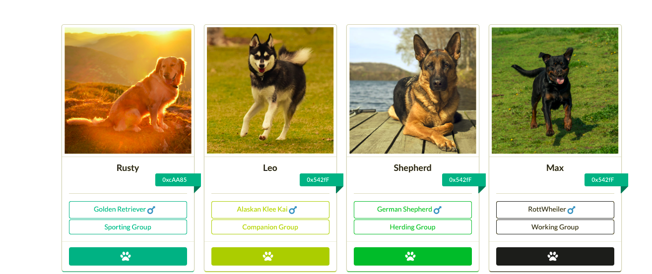 CryptoDogz gallery image