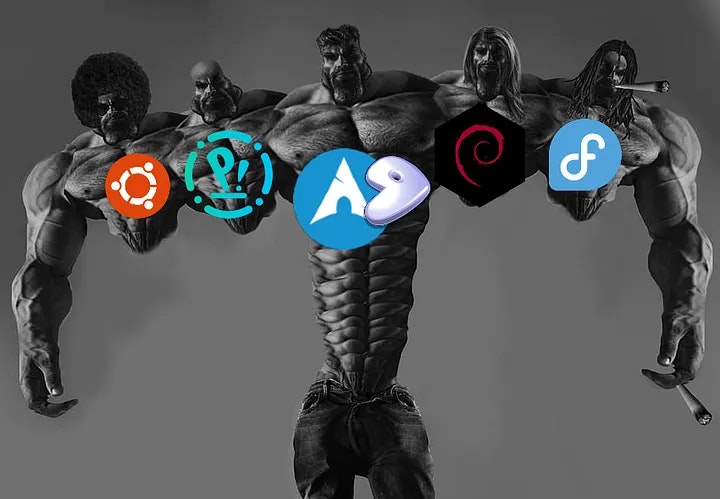 Mídia 4 de Niofietetch