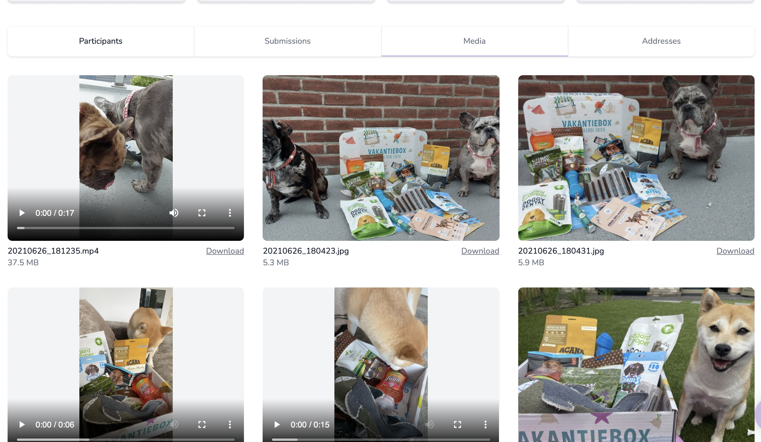 Dogfluence gallery image