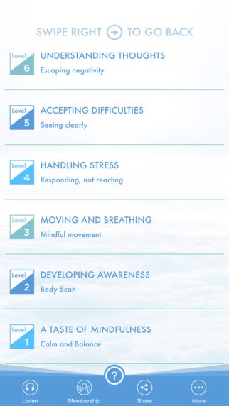 MindPilot gallery image