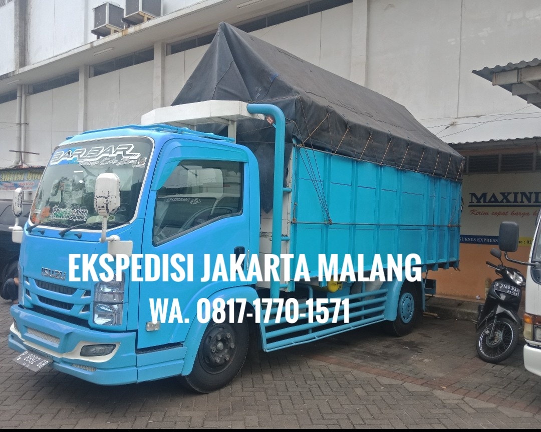 Maxindo Expedición barata Yakarta Malang media 3