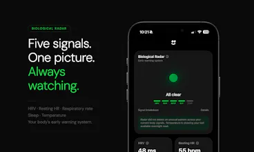 Supernormal gallery image