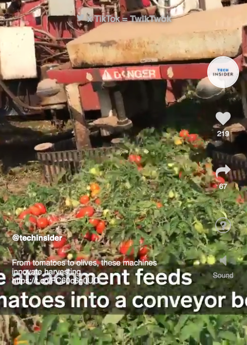 TwikTwok gallery image