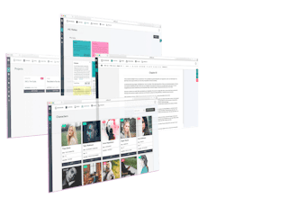 Scritika gallery image