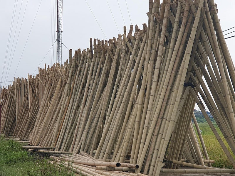 Matériau en bambou