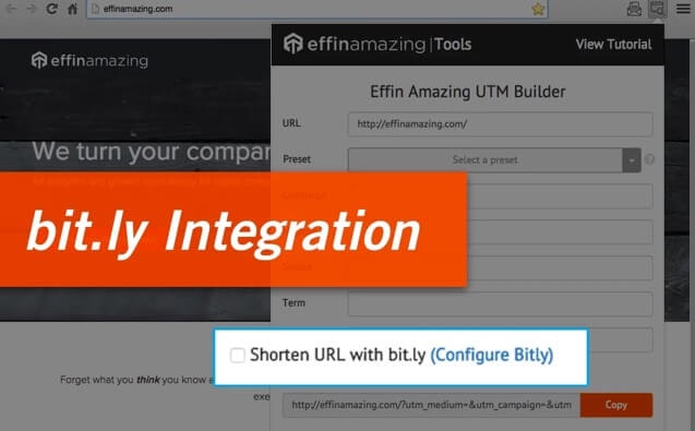 Effin Amazing UTM Builder gallery image
