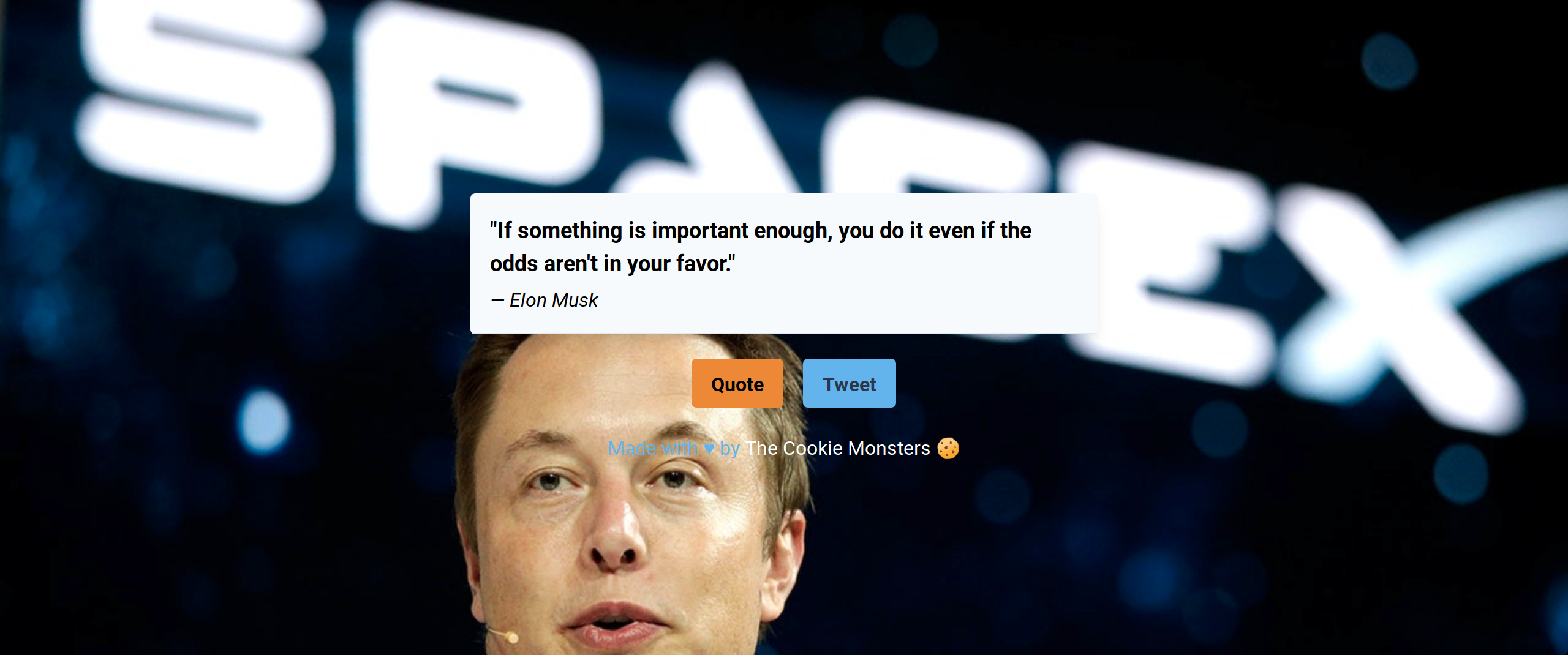 Random Elon gallery image