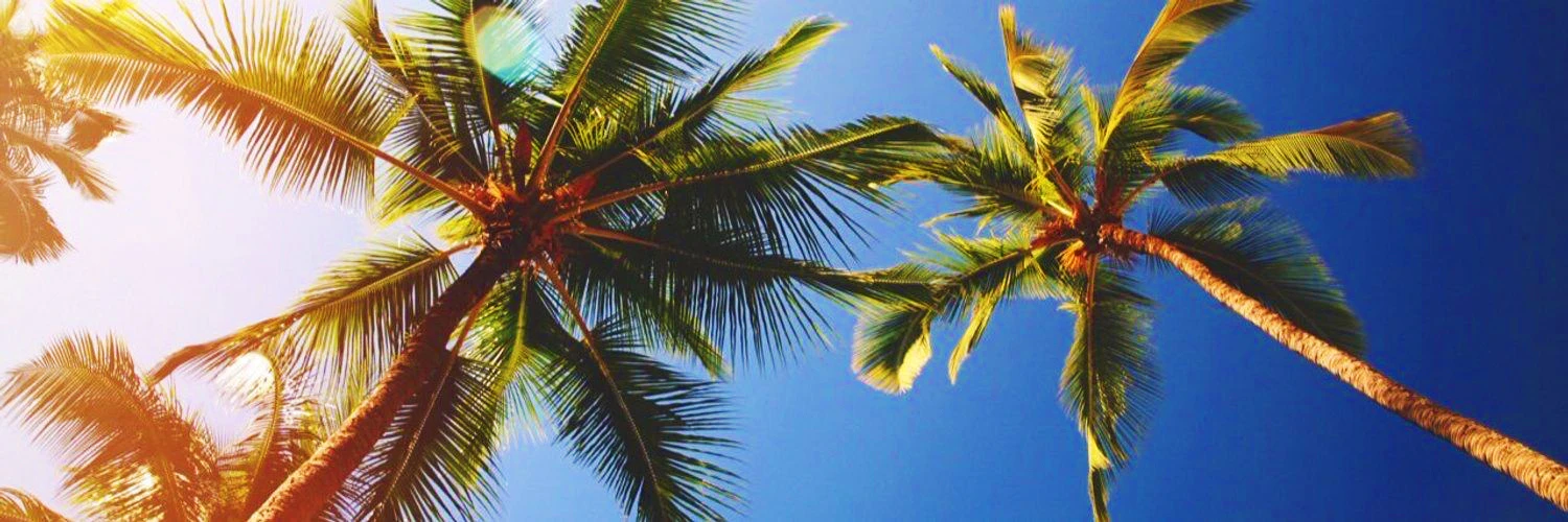 Ashley Porciuncula cover