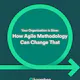 Your Organization is Slow: How Agile Methodology Can Change That