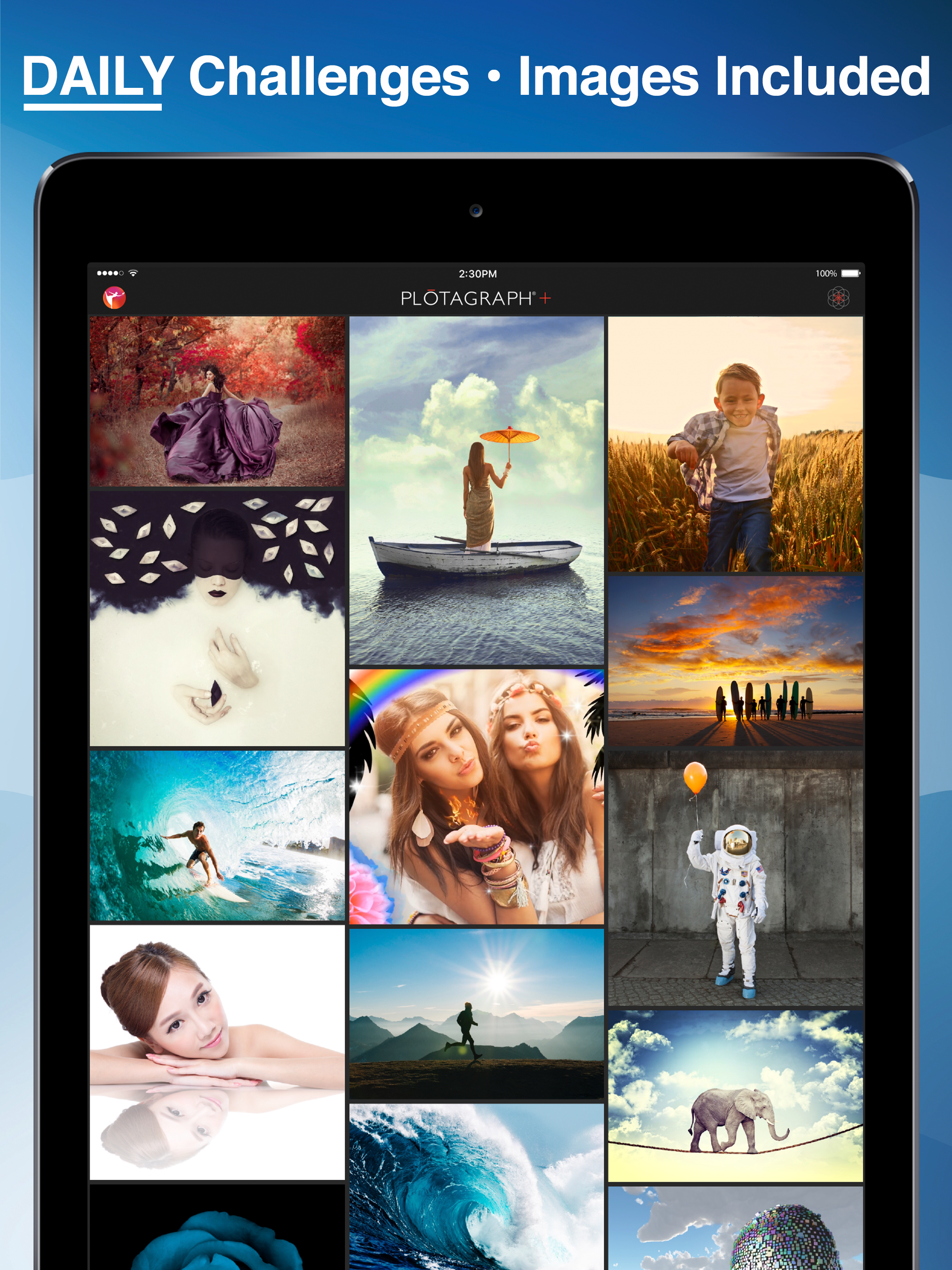 Plotaverse gallery image