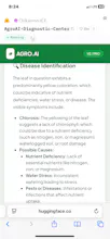 AgroAI-Diagnostic-Center gallery image