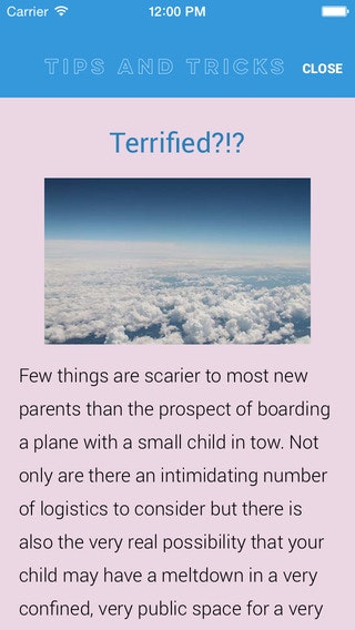 Flying With Kids gallery image