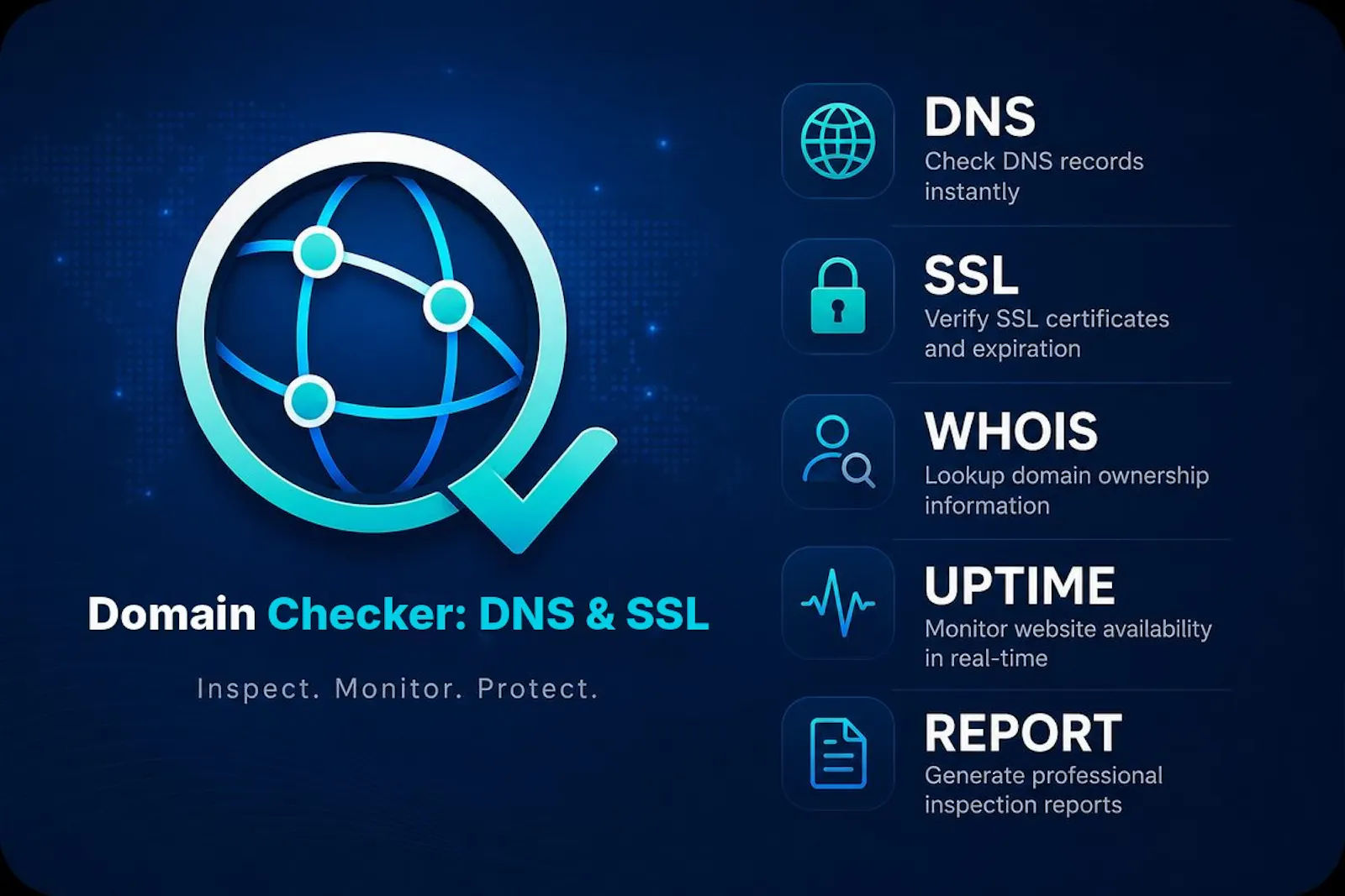 Domain Checker: DNS & SSL screenshot 1