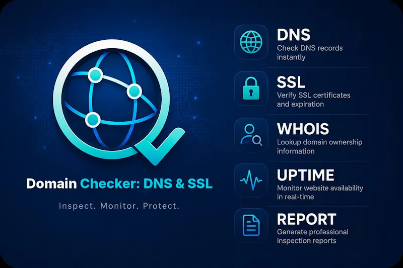 Domain Checker: DNS & SSL screenshot 1