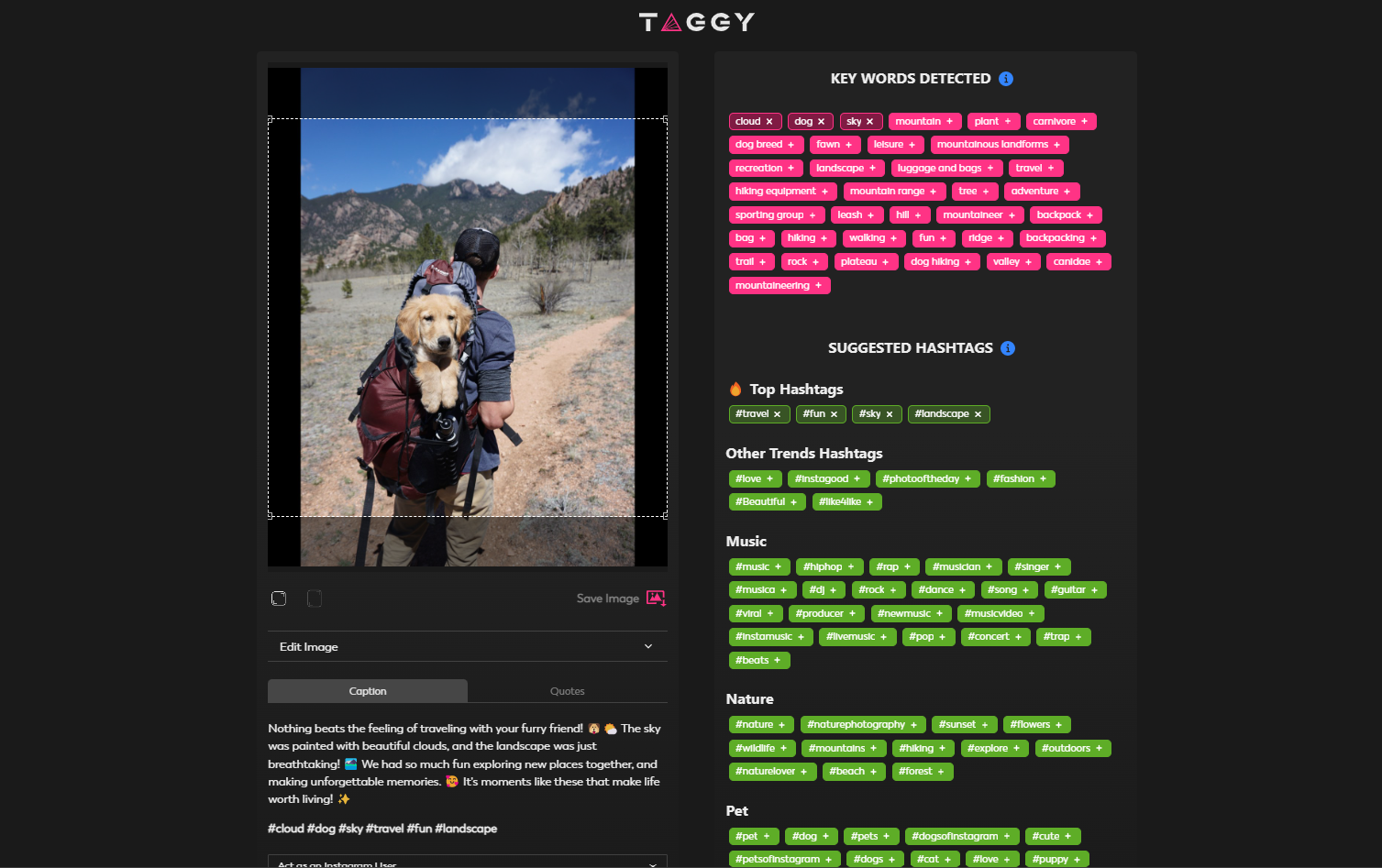 Taggy media 1