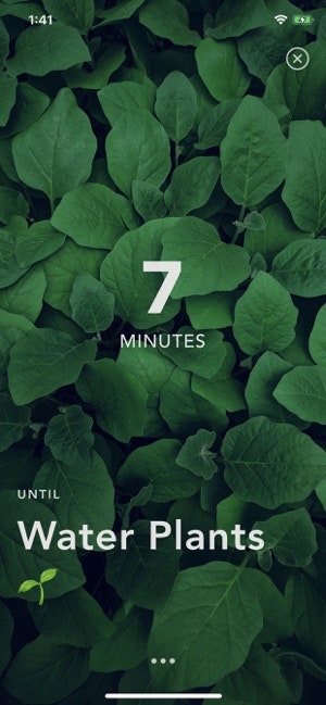 TimeCount - Day Counter gallery image