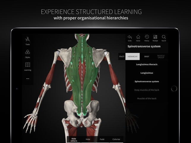 Anatomyka gallery image