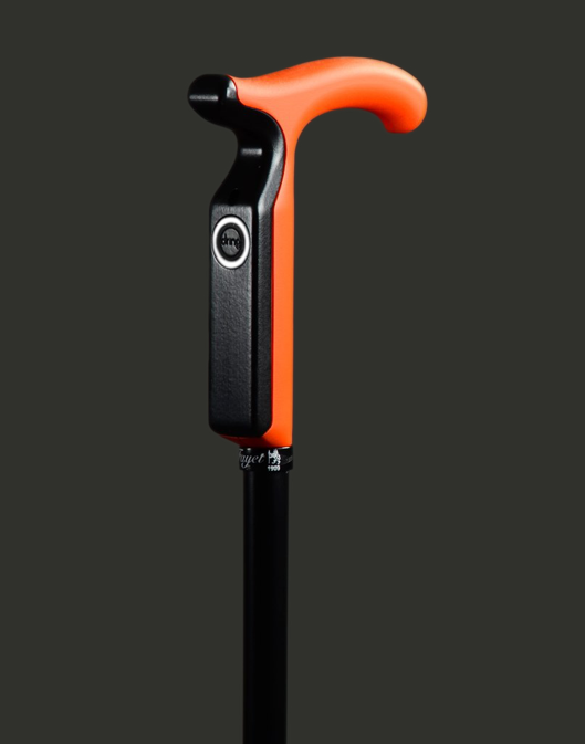 The Smartcane Image
