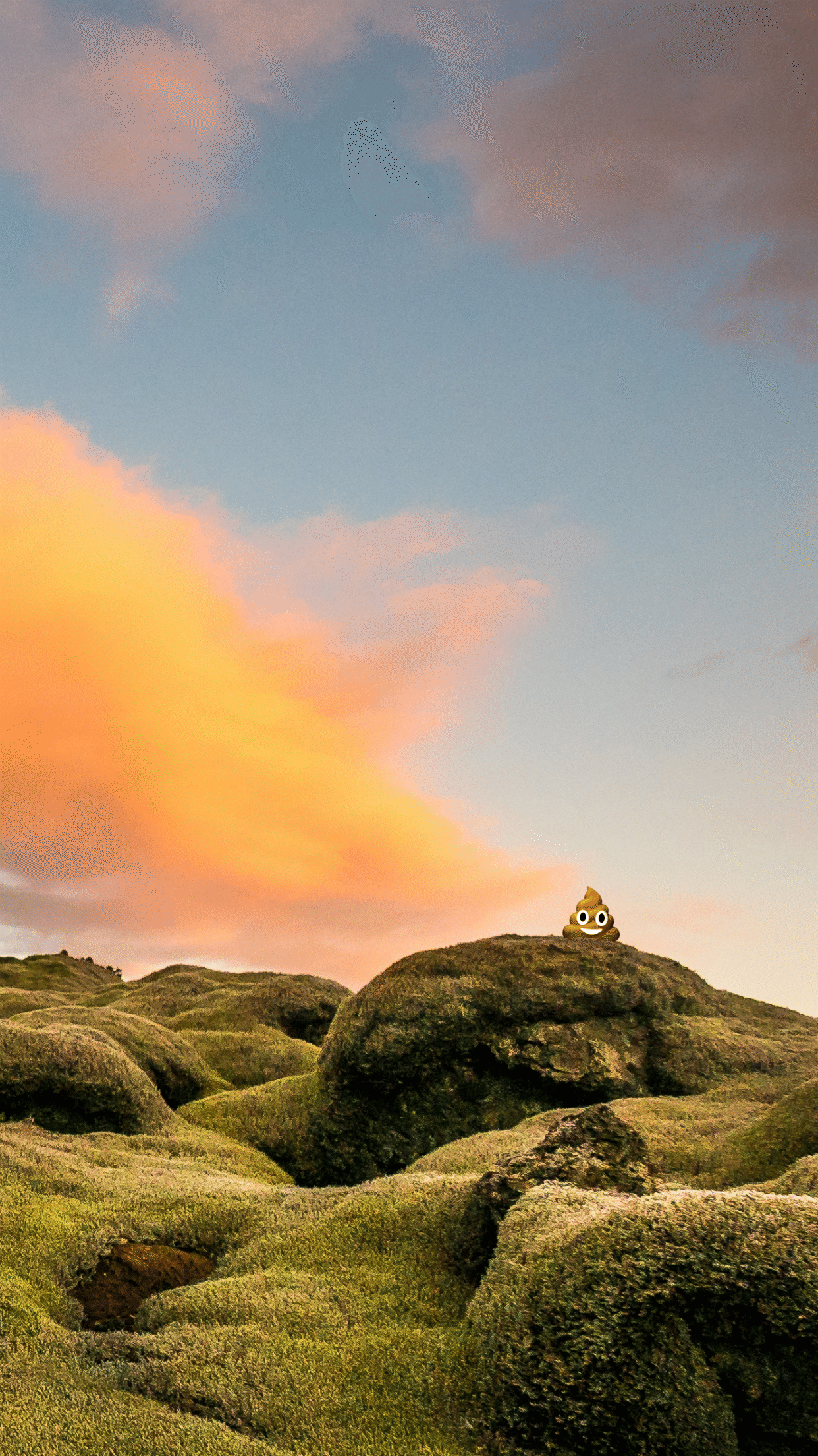 Poo.Design gallery image