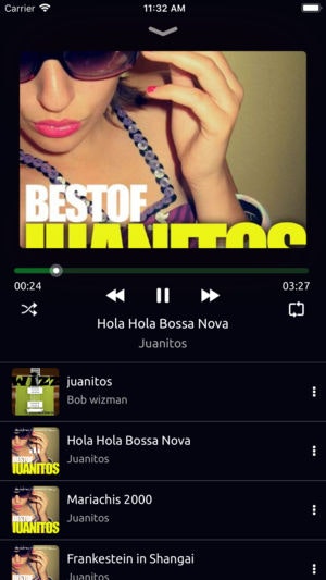 Music Downloader & Player gallery image