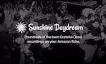 Sunshine Daydream Grateful Dead Alexa Skill image