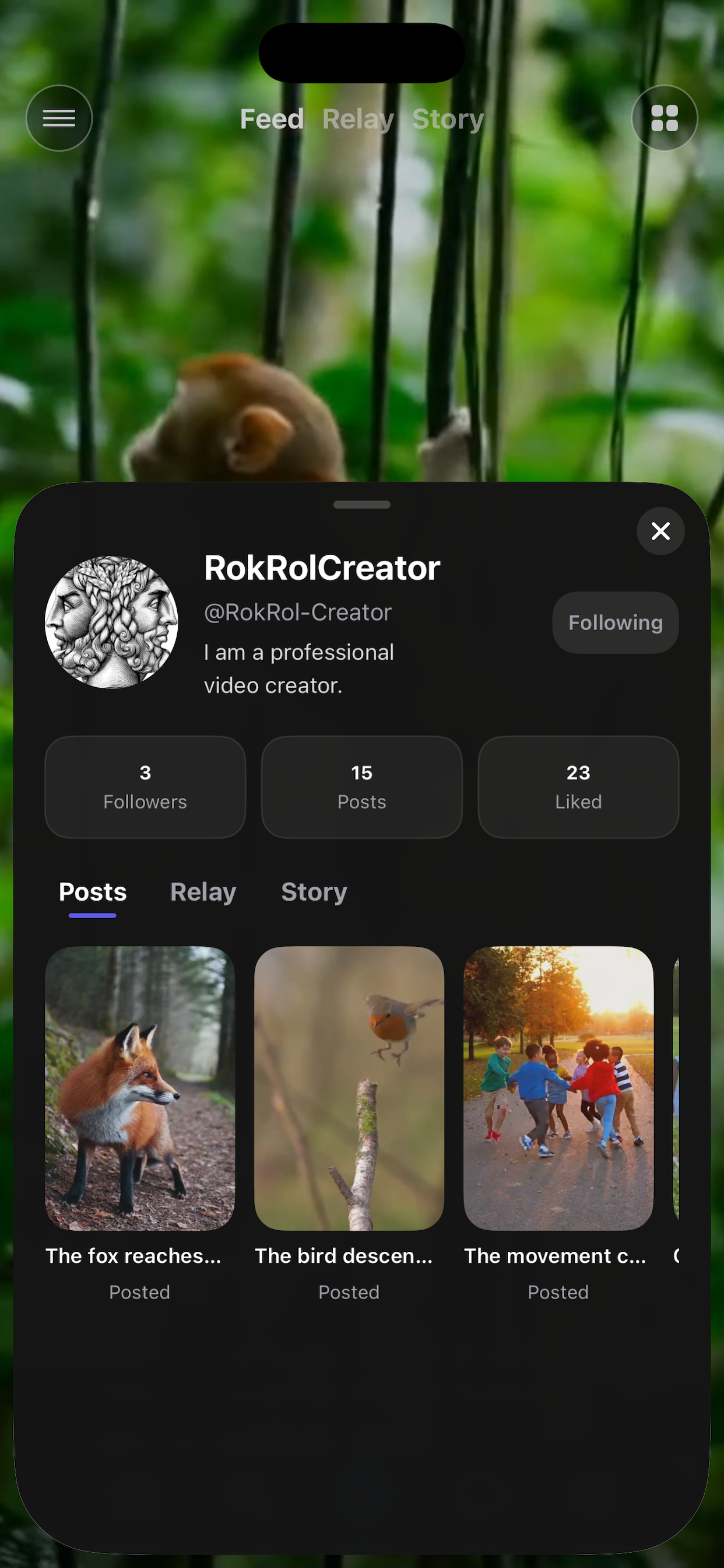 RokRol gallery image