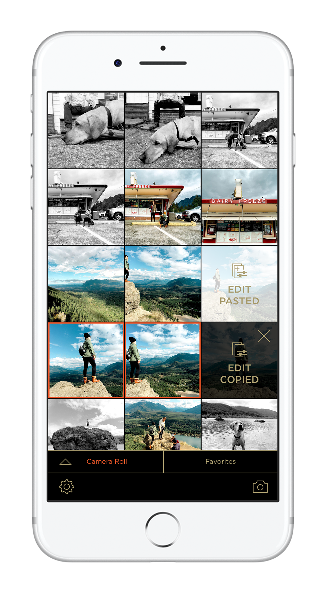 Filmborn gallery image