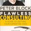Flawless Consulting: A Guide to Getting Your Expertise Used