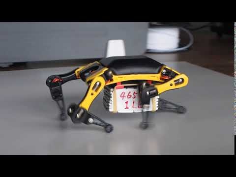 Bittle gallery image