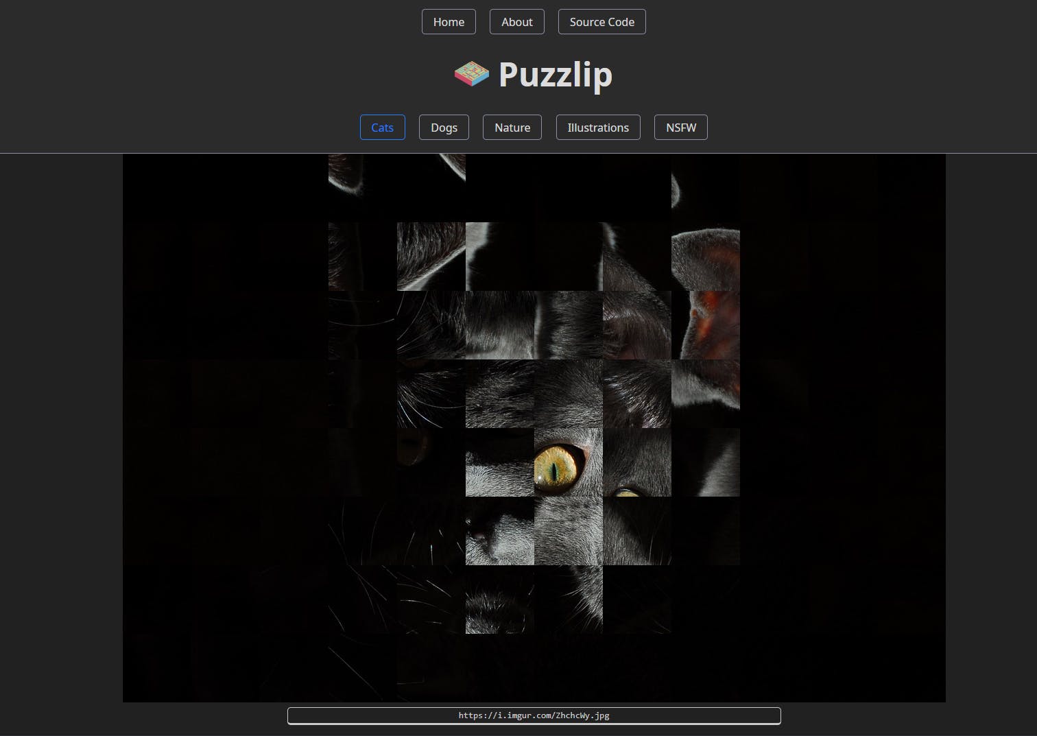 Puzzlip