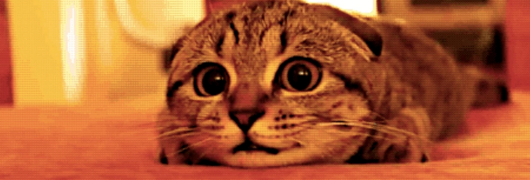 Giphy Tab Image