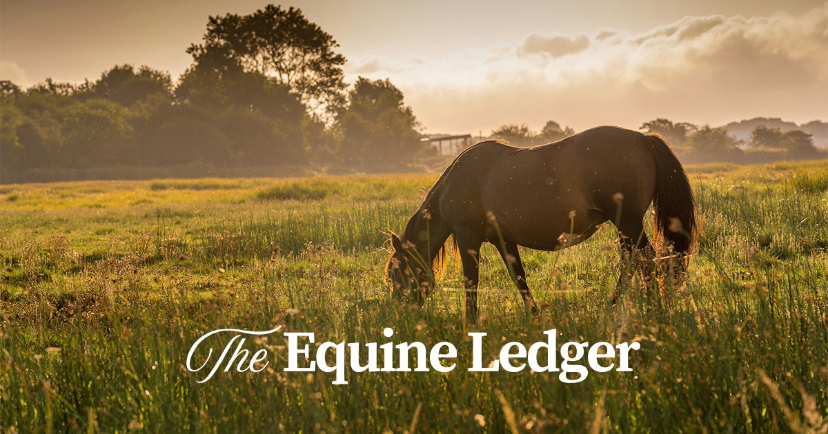 The Equine Ledger