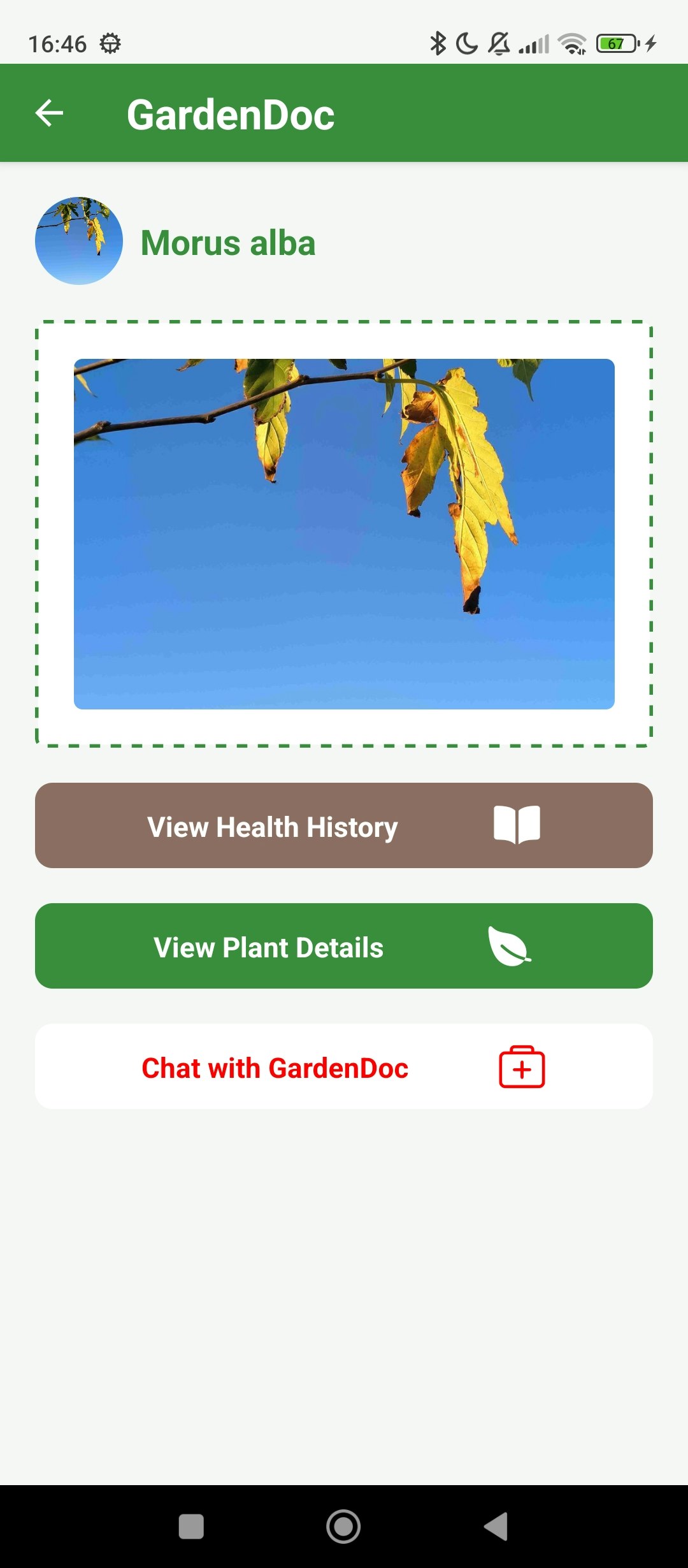 Mídia 8 de Plantar em casa - Mantenha suas plantas saudáveis com o melhor aplicativo de cuidados.