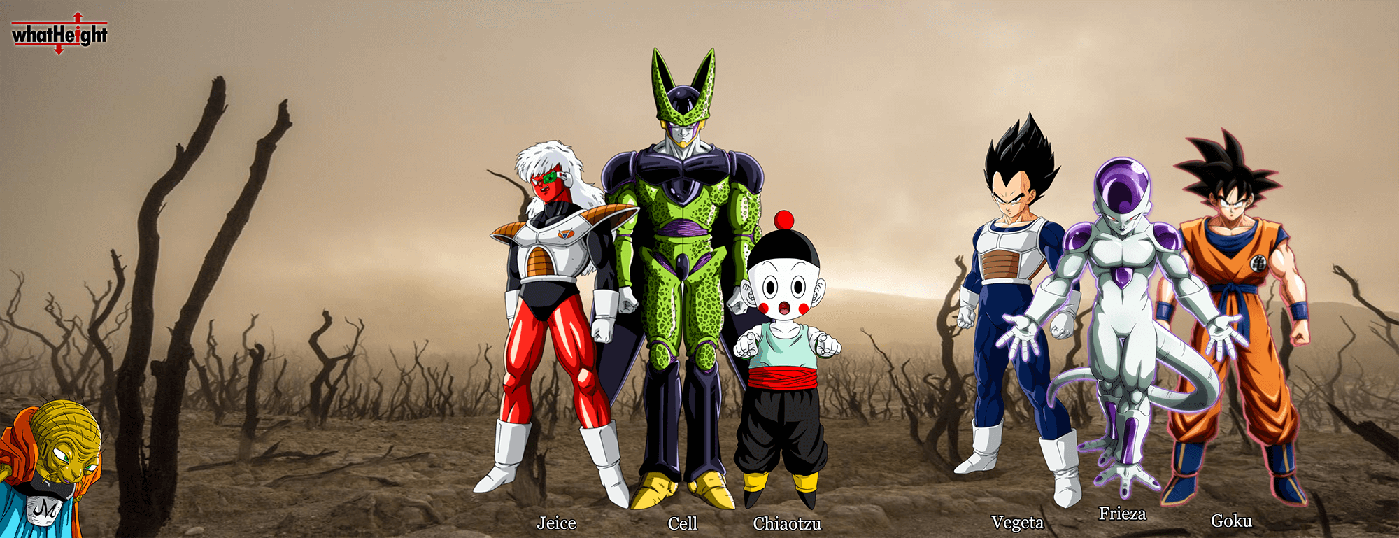 whatHeight gallery image