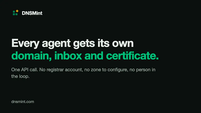 DNSMint screenshot 1