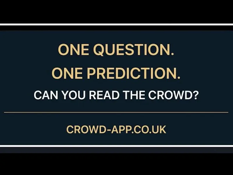 CROWD screenshot 2 (video preview)