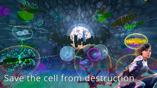 InCell gallery image