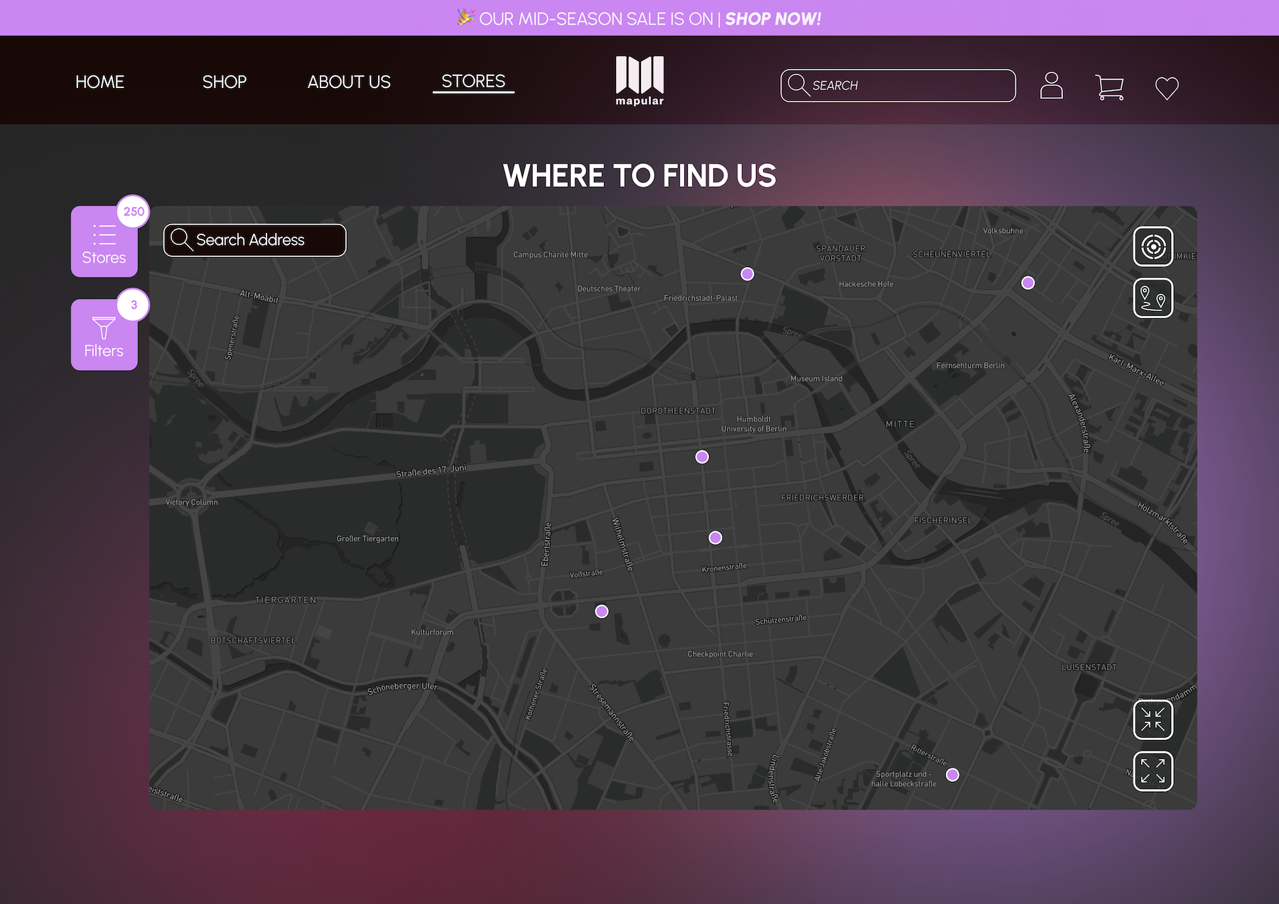 Custom Store Locator  gallery image