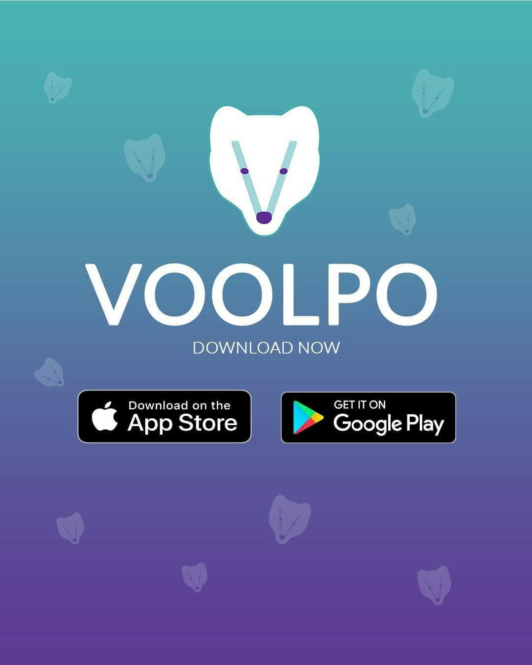 Voolpo gallery image